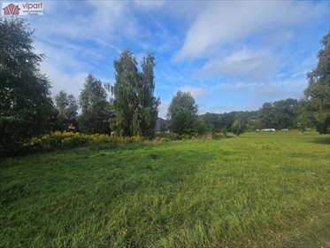 działka na sprzedaż 3451m2 działka Orzesze, Zawiść, Młyńska