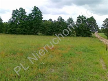 Działka rolna na sprzedaż Sokolnik 15 800m2 Foto 2