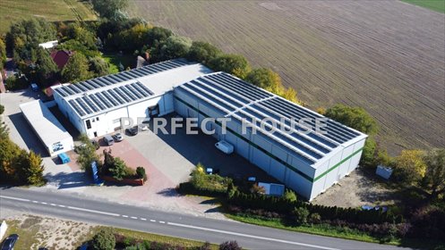 Nowoczesny magazyn 2431 m² z chłodniami, fotowoltaiką - polecam! magazyn Trzek