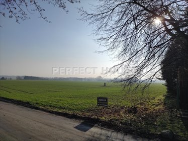 Polecam działkę pod dom w otulinie jeziora i rezerwatu działka Promienko, Dereniowa