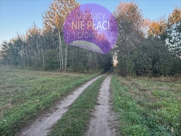 działka na sprzedaż 20000m2 działka Stary Kraszew