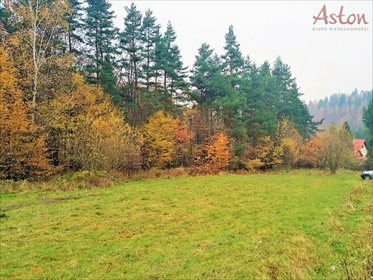 działka na sprzedaż 2566m2 działka Bielsko-Biała, Straconka, Lisia