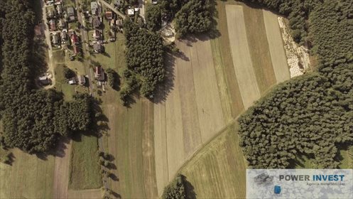 Działka inwestycyjna na sprzedaż Kędzierzyn-Koźle, Cisowa 24 900m2 Foto 2