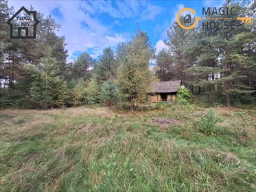 Działka 5470 m² z oczkiem wodnym i lasem - zapraszam działka Nowy Wiec