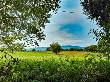 działka na sprzedaż 2800m2 działka Stary Wielisław