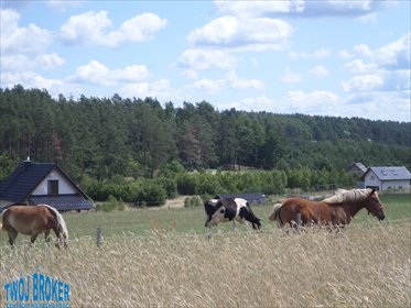 działka na sprzedaż 1072m2 działka Ciemno