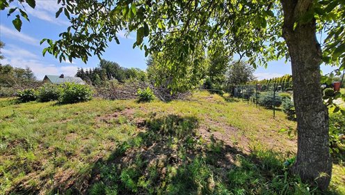 działka na sprzedaż 6200m2 działka Sadurki