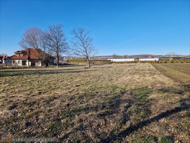 Działka 24,75 ara z mediami w Masłomiący - polecam! działka Masłomiąca