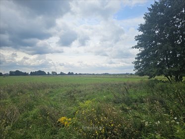 działka na sprzedaż 1104m2 działka Prądocin
