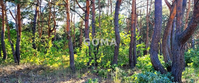 działka na sprzedaż 653m2 działka Warszawa, Wesoła, Zielona
