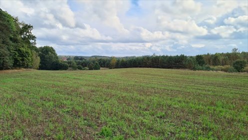 Działka budowlana w Starym Wiecu 1306 m2 – idealna pod inwestycję działka Stary Wiec