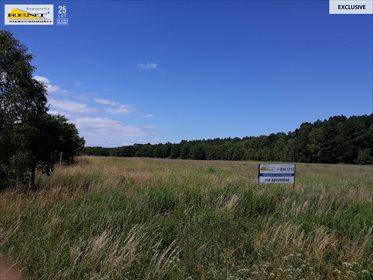 działka na sprzedaż 4331m2 działka Chociwel