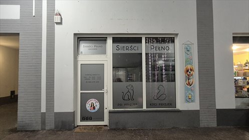 Lokal użytkowy 30 m² w Centrum LOTNIA Gdańsk - polecam lokal użytkowy Gdańsk, Zaspa, Żwirki i Wigury