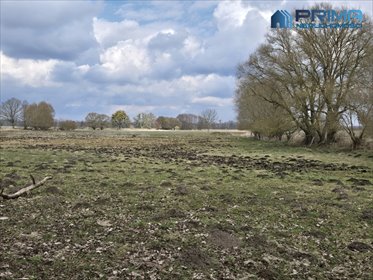 Działki 3009 m² w Rzędzinach (blisko natury) działka Rzędziny
