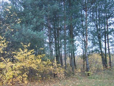 działka na sprzedaż 21704m2 działka Helenów