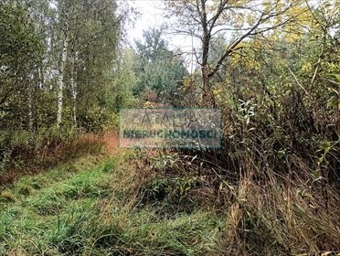 Sprzedam działkę przemysłowo-mieszkaniową 14 200 m² w Żabiej Woli działka Nowa Bukówka