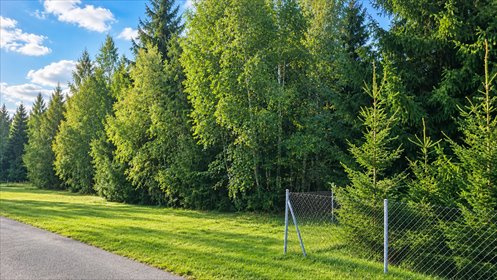 Działka na sprzedaż 4200m2 działka Cholewy