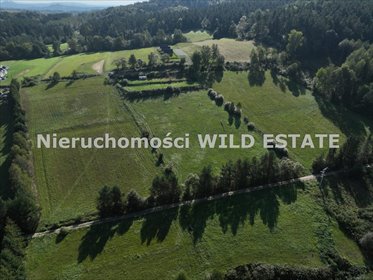 działka na sprzedaż 3100m2 działka Solina, Berezka