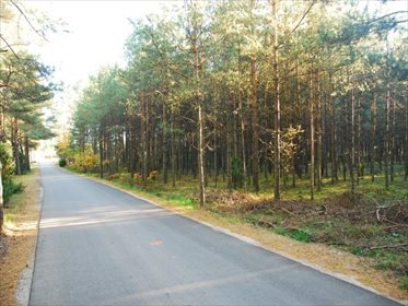 Działka siedliskowa na sprzedaż Krzyż, Xxx, XXX, Xxx 12 001m2 Foto 4