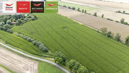 działka na sprzedaż 267200m2 działka Wielkie Walichnowy
