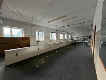 Obiekt 800 m² z biurami i mieszkaniem - wynajem Targówka lokal użytkowy Targówka, Targówka