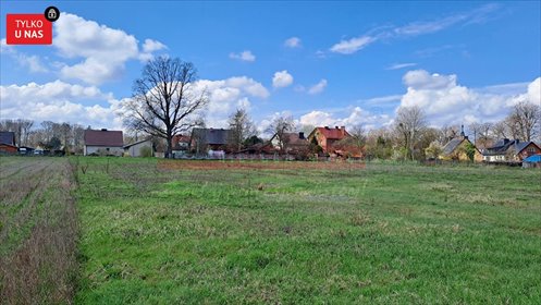 Na sprzedaż działka 5100 m² z mediami i możliwością podziału działka Pokój