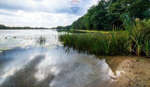 Działka budowlana na sprzedaż Zełwągi 4 648m2 Foto 6