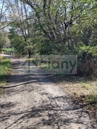 działka na sprzedaż 2100m2 działka Regut