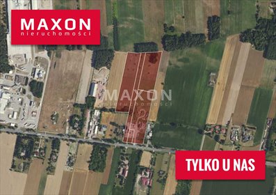 działka na wynajem 60684m2 działka Chrzczany