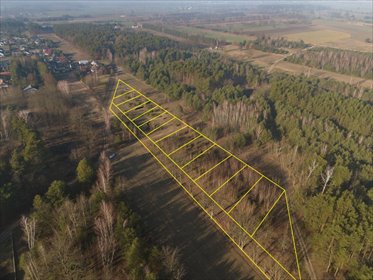 działka na sprzedaż 604m2 działka Michałów, Spokojna
