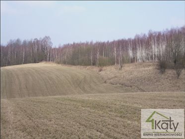 Działka rolna na sprzedaż Czarny Kierz, Czarny Kierz, Czarny Kierz 16 500m2 Foto 7
