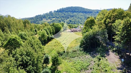 działka na sprzedaż 1187m2 działka Sosnówka, Liczyrzepy