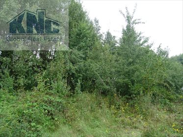 Działka rolna na sprzedaż Korytków 10 800m2 Foto 7