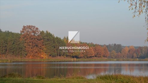 działka na sprzedaż 4000m2 działka Wełmin