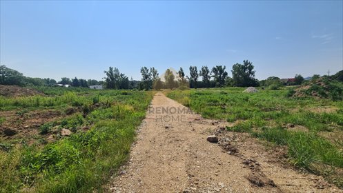Działka inwestycyjna 50 147 m² pod zabudowę w Chwaliszowie - polecam! działka Chwaliszów