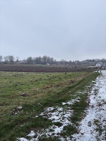 działka na sprzedaż 1500m2 działka Stare Czarnowo