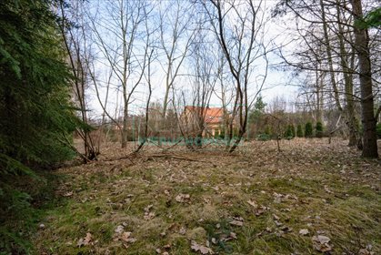 Dom z potencjałem na dużej działce 2,28 ha w Ojrzanowie dom Ojrzanów