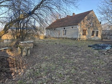 Do sprzedania działka 24 ha z siedliskiem w Tłokowie działka Tłokowo
