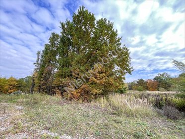 działka na sprzedaż 759m2 działka Milanówek