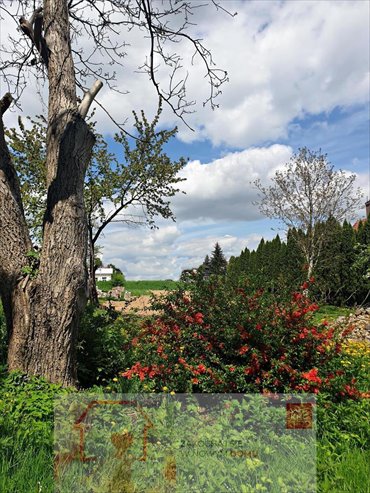 działka na sprzedaż 4000m2 działka Lublin, Szerokie