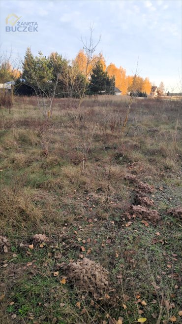 działka na sprzedaż 1100m2 działka Nowe Mostki