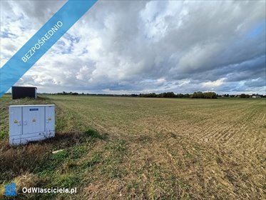 Do sprzedania działki rolno-budowlane 11 100 m² w Ludwinie działka Ludwin