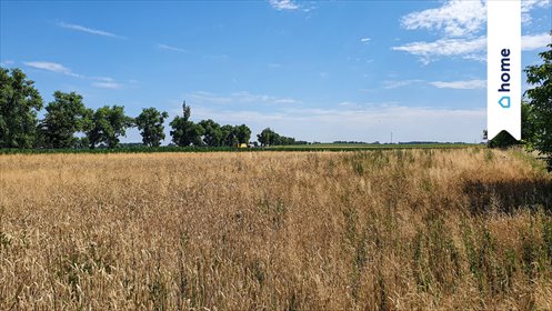 działka na sprzedaż 1140m2 działka Łagiewniki, Sowia