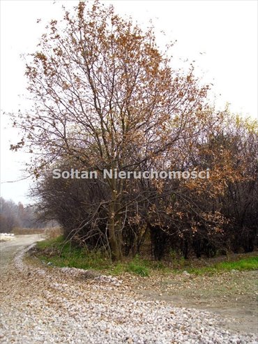 działka na sprzedaż 4138m2 działka Warszawa, Wesoła, Stara Miłosna, Trakt Brzeski