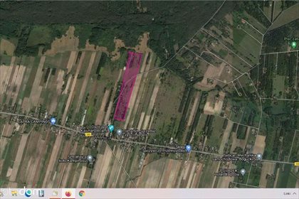 Działka rolna na sprzedaż Wiejca 74 823m2 Foto 1