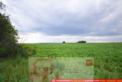 działka na sprzedaż 6000m2 działka Osmolice Pierwsze