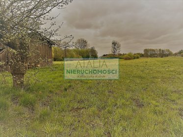Działka 2,5 ha z domem i zabudowaniami, pod stadninę działka Budy Zosine