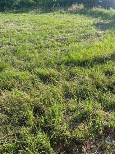 działka na sprzedaż 1000m2 działka Łazy