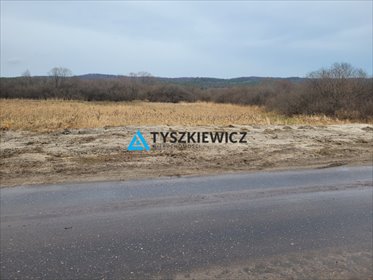 działka na sprzedaż 8001m2 działka Gdynia, Pogórze