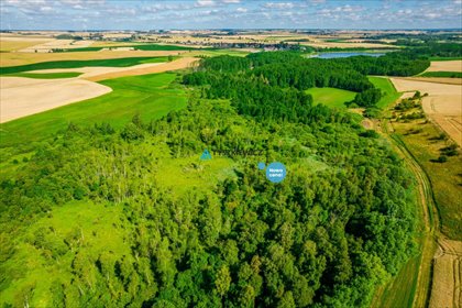 Zadrzewiona działka 6400 m² w Ciechocinie – prywatność i relaks działka Ciechocin